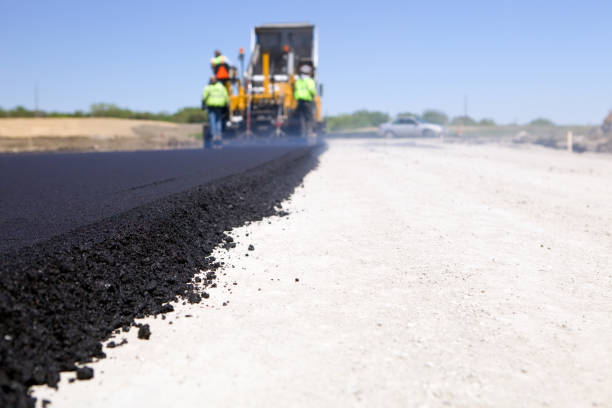 Best Local Driveway Pavers  in Panacea, FL