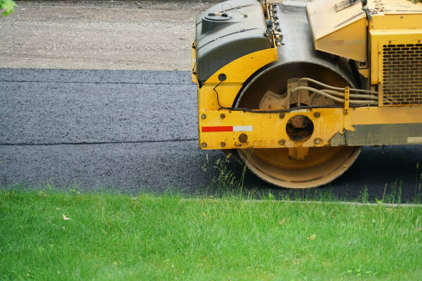 Best Local Driveway Pavers  in Panacea, FL